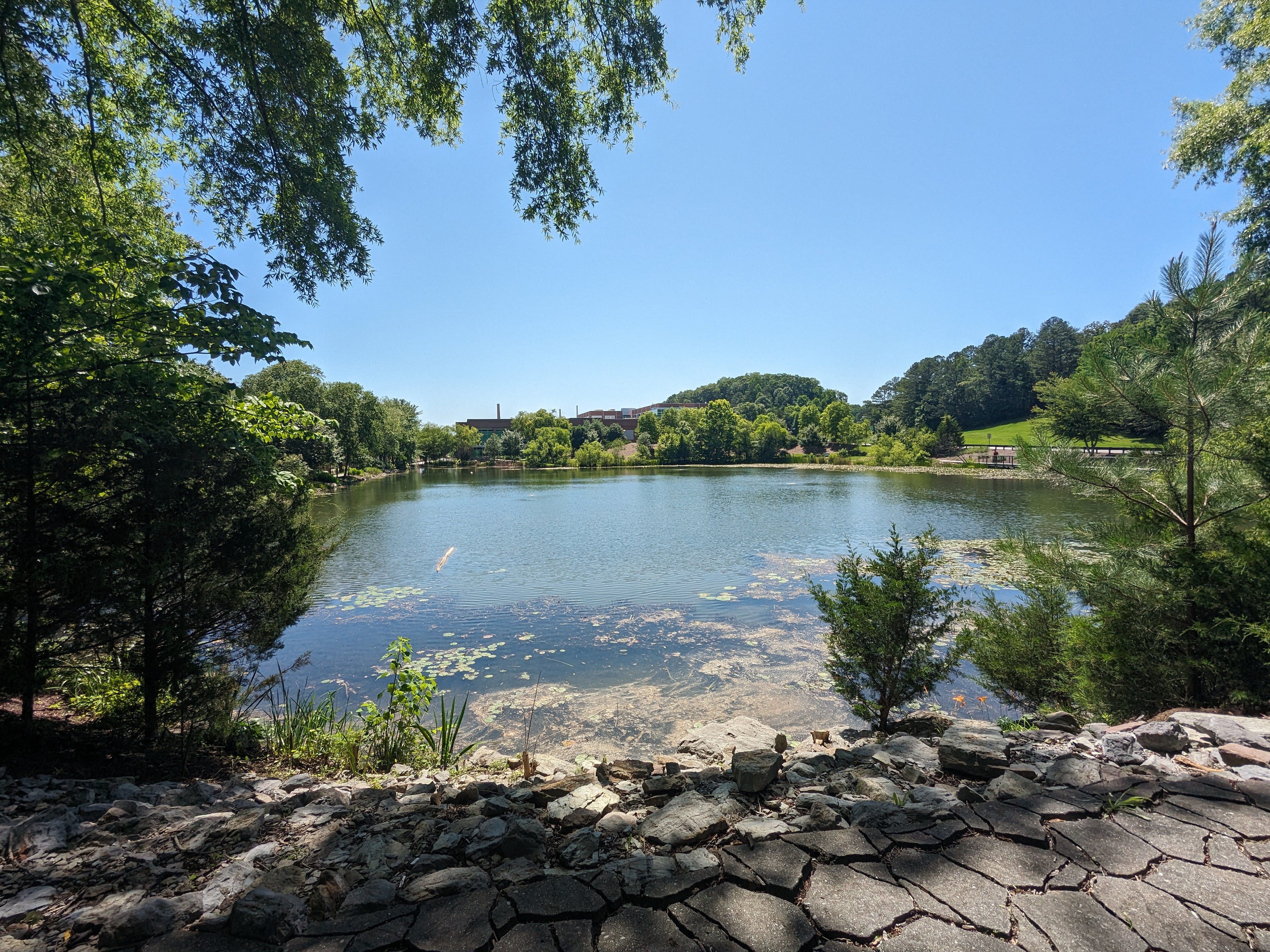 Pond at ORNL